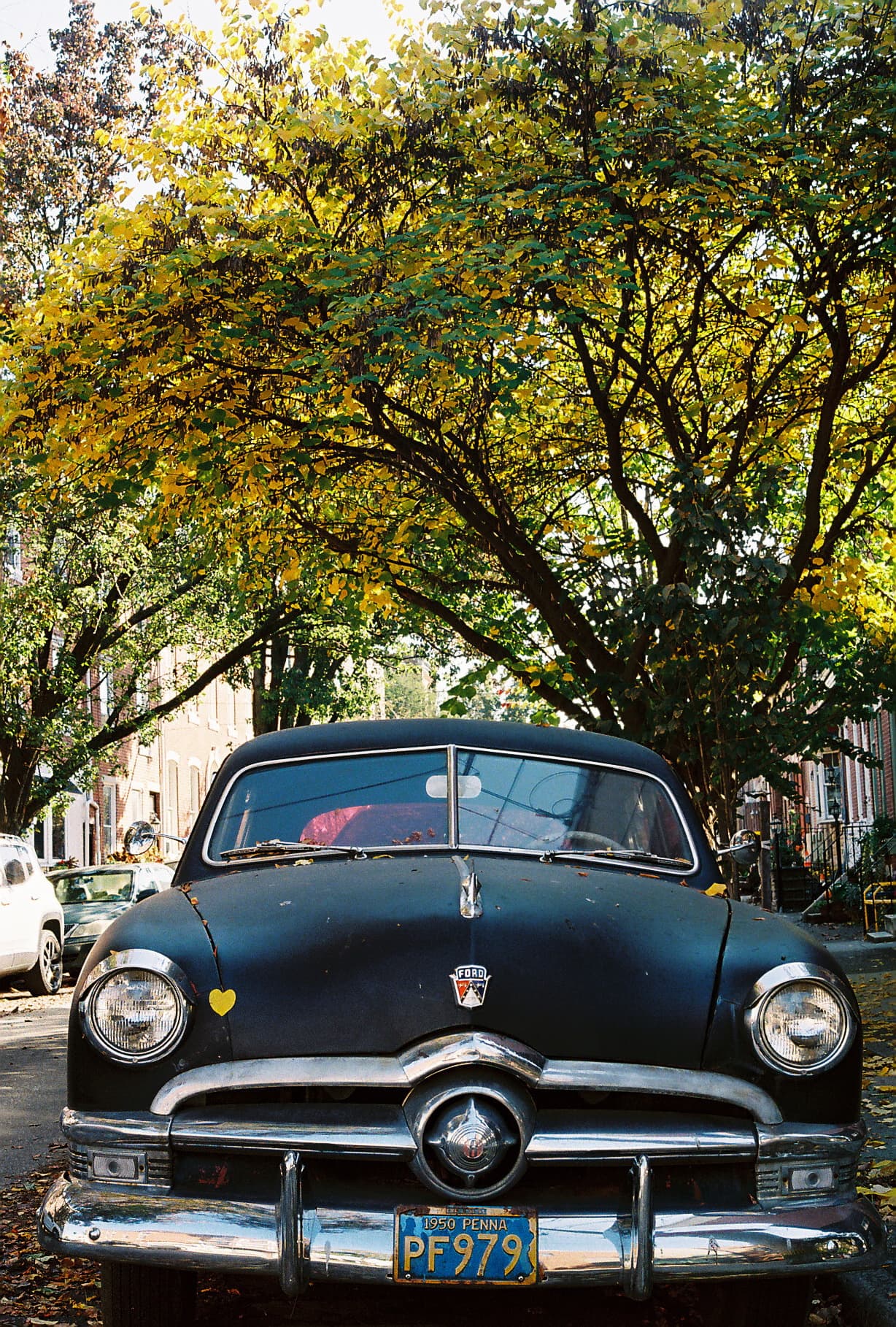 Overexposed colour film frame on a different stock, shadows protected by the extra exposure