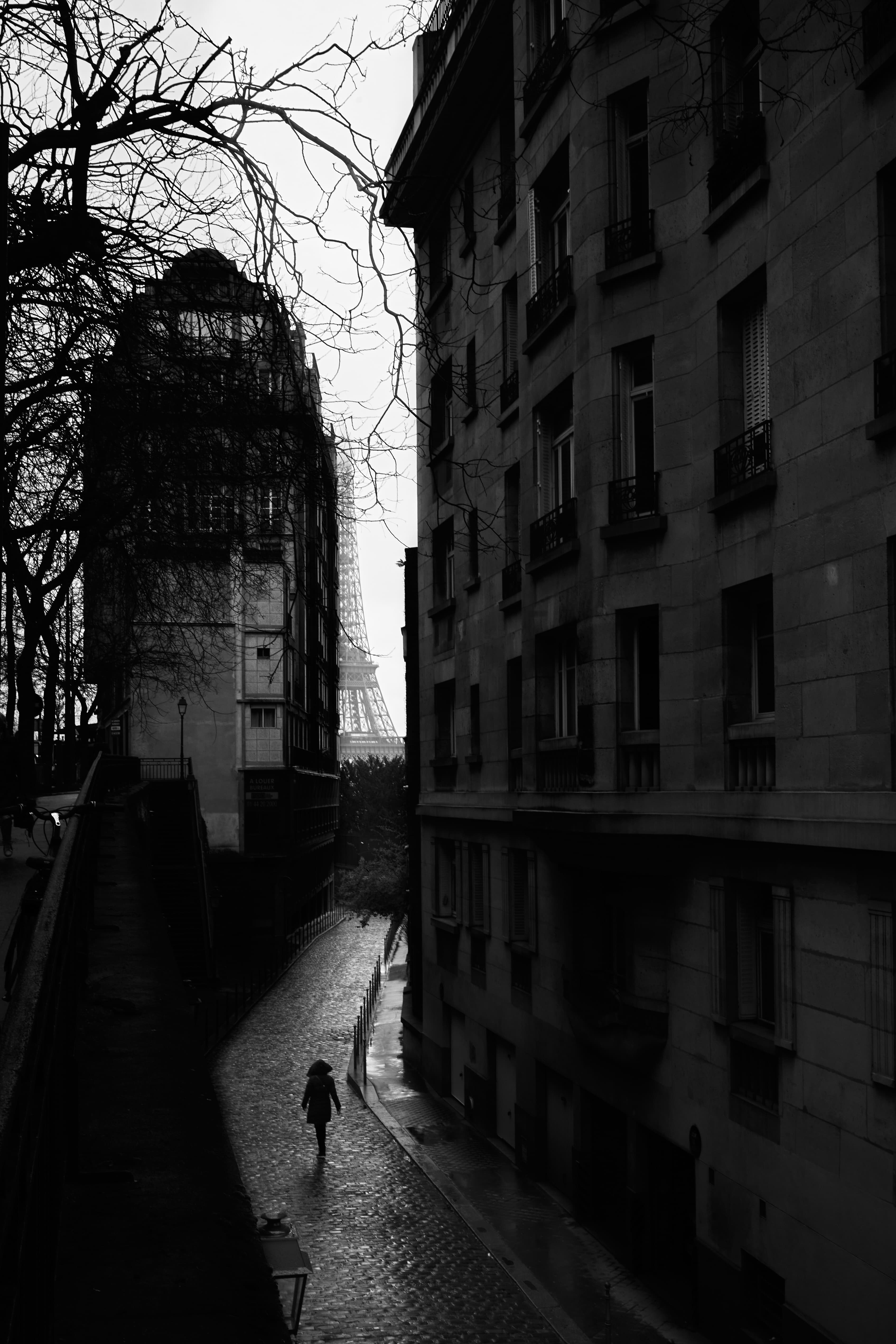 paris monochrome — photo 22
